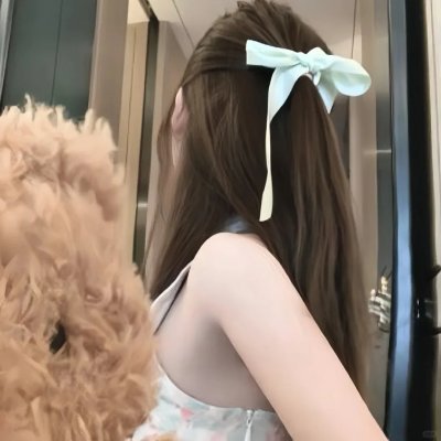 壳中少女 排气